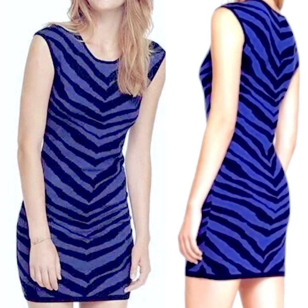 NWOT Express zebra Sweater Dress L